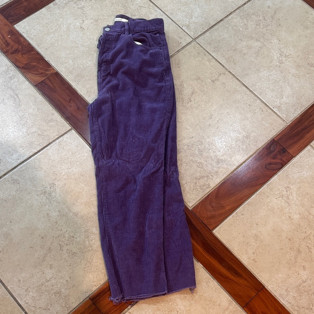 PacSun Purple Corduroy Pants